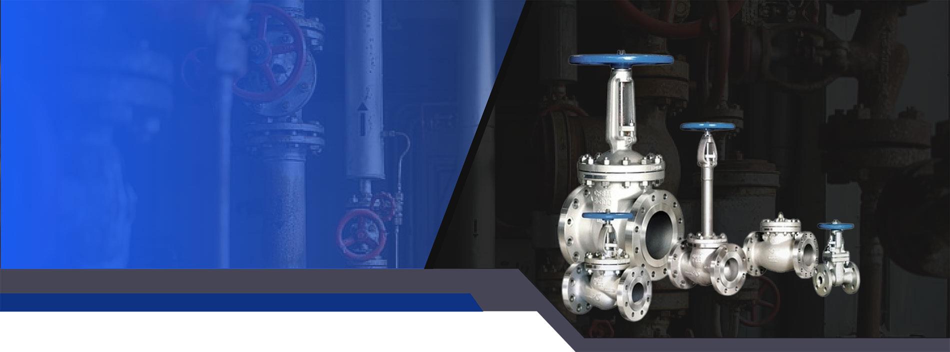 Experience Unrivaled Valve Solutions Experience Unrivaled Valve Solutions